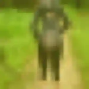 Profil de Aisha à Puilboreau (35 ans) - rencontre cougar gratuit