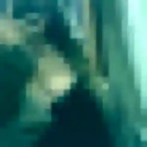 Adele, fille de 44 ans veut rencontre cougar à Quint-Fonsegrives