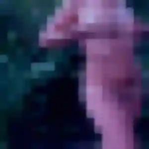 Florence, 29 ans, dispo pour rencontre cougar à Remiremont