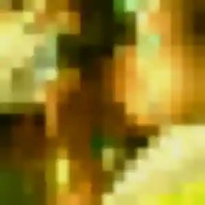 Nolwenn, 43 ans, connectée à Rochefort-du-Gard pour une rencontre coquine
