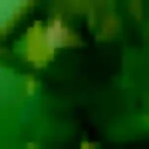 Profil de Nina à Saint-Arnoult-en-Yvelines (38 ans) - rencontre cougar discret