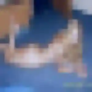 Photo de Severine à Saint-Dié-des-Vosges (30 ans) - rencontre cougar anonyme