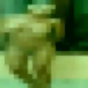 rencontre cougar à Saint-Junien : photo de Fanny, 41 ans - sans engagement