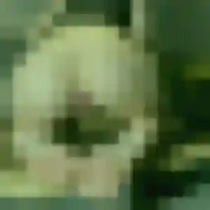 Adelaide (39 ans) à Saint-Marcellin-en-Forez cherche un rencontre cougar ce soir