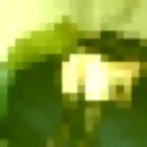 Solene, 35 ans, dispo pour rencontre cougar à Sarzeau
