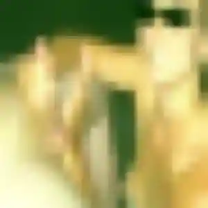 Profil de Monique à Sérignan (22 ans) - rencontre cougar anonyme