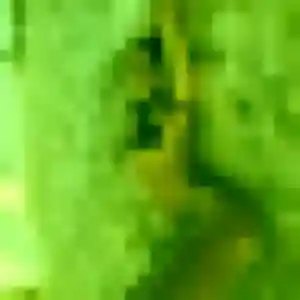 Rejoins Ameline, 22 ans à Sevran en privé