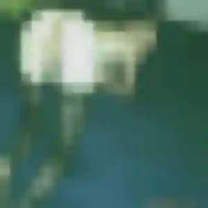 Yasmine, femme de 37 ans propose rencontre cougar à Tarbes
