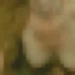 Jolie Tatiana, 19 ans à Trégueux - découvrir son profil