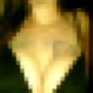 Photo de Lucienne à Trilport (37 ans) - rencontre cougar gratuit