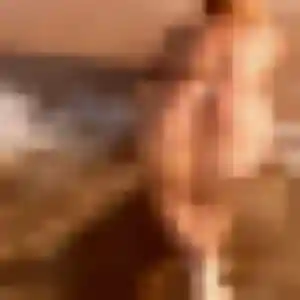Zineb, 43 ans, disponible à Tullins pour un rencontre cougar