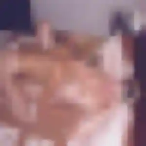 Janine de Vence, 22 ans - rencontre cougar sans lendemain