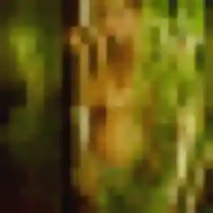 Photo exclusive de Marie-Pierre, 23 ans à Vienne - plan discret