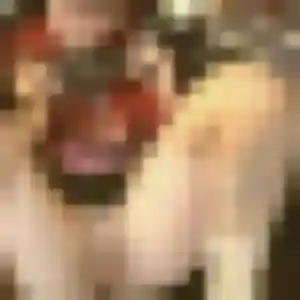 Celia, femme de 44 ans veut rencontre cougar à Villeneuve-lès-Maguelone