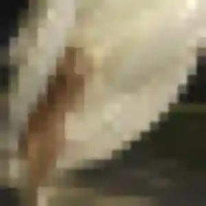 Rencontre Pauline, 24 ans à Villers-Saint-Paul en privé