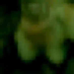Amira, femme de 33 ans veut rencontre cougar à Viry