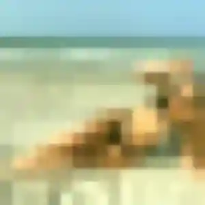 Photo exclusive de Agathe, 32 ans à Voreppe - rencontre coquine